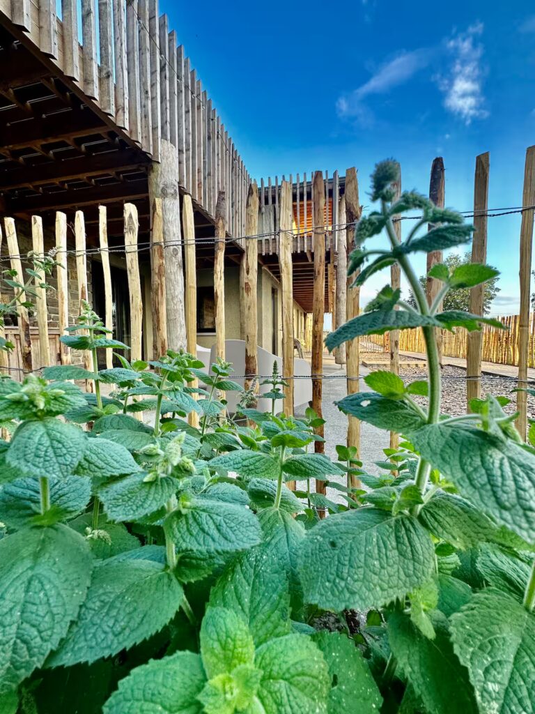 1afa4370 035a 489d bbd3 23fada6e8919