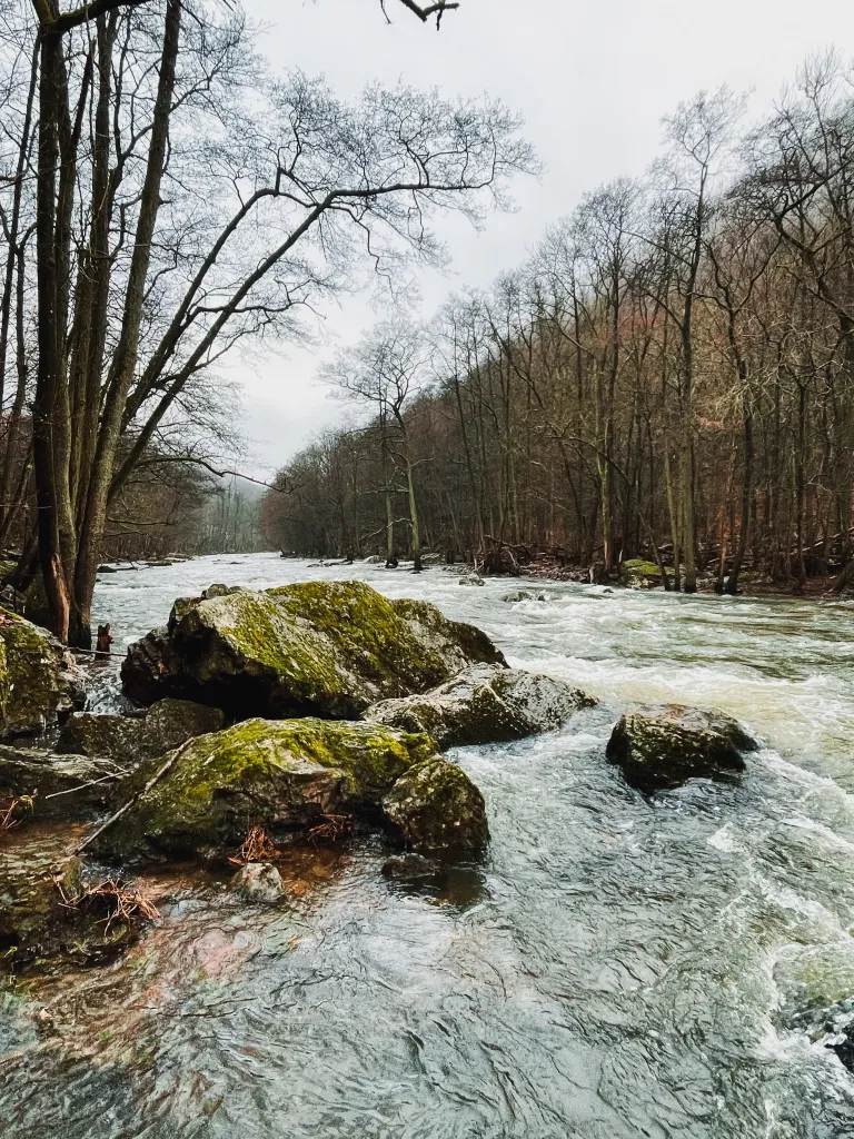 Fonds de Quarreux à Remouchamps, rivière et rochers emblématiques en pleine nature