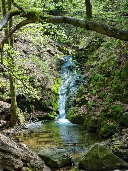 Cascade et ruisseau du Ninglinspo à Aywaille, promenade nature emblématique en Wallonie