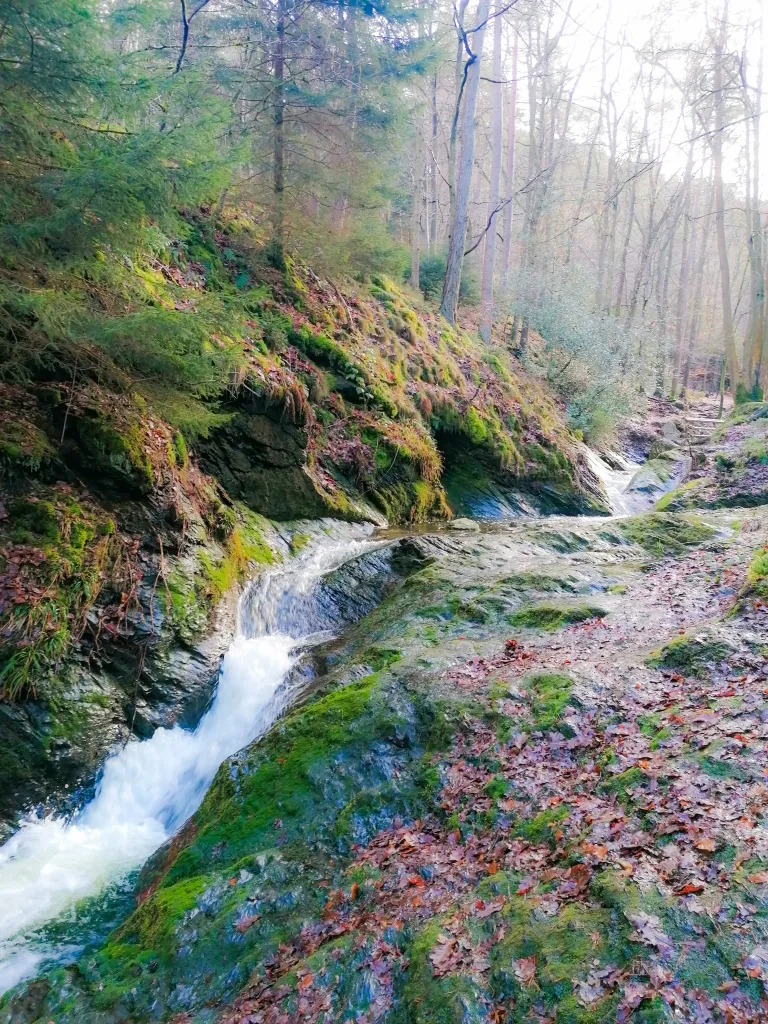 sentier naturel de Chefnà à Aywaille en pleine nature