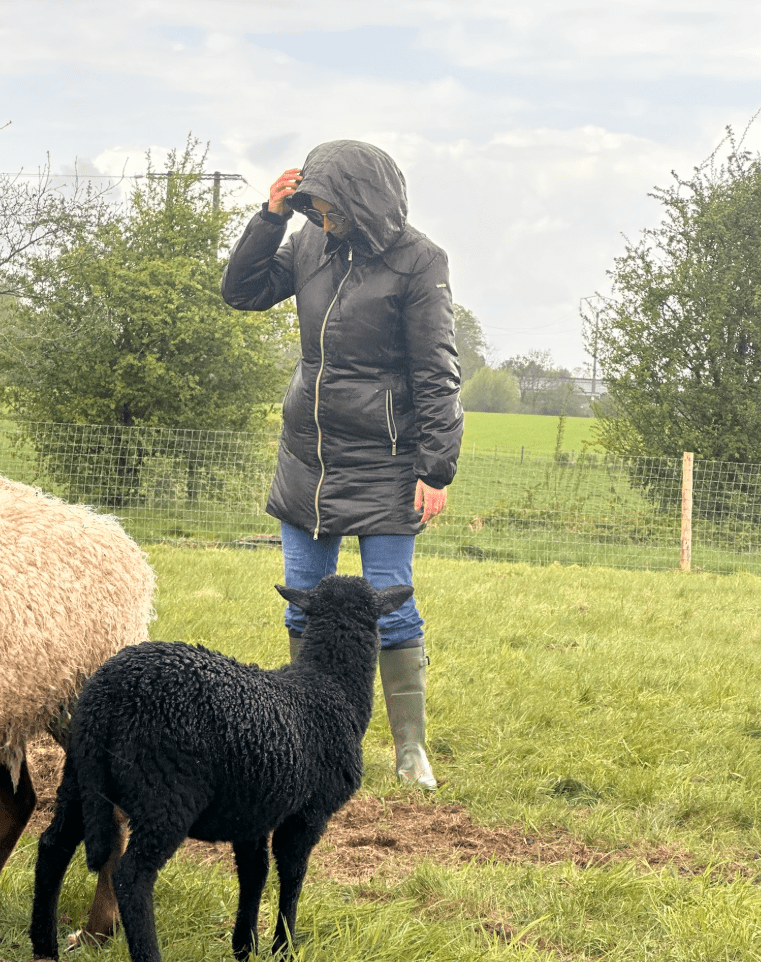 Activité à la ferme avec les animaux au Domaine de Hurlevent à Aywaille, Wallonie