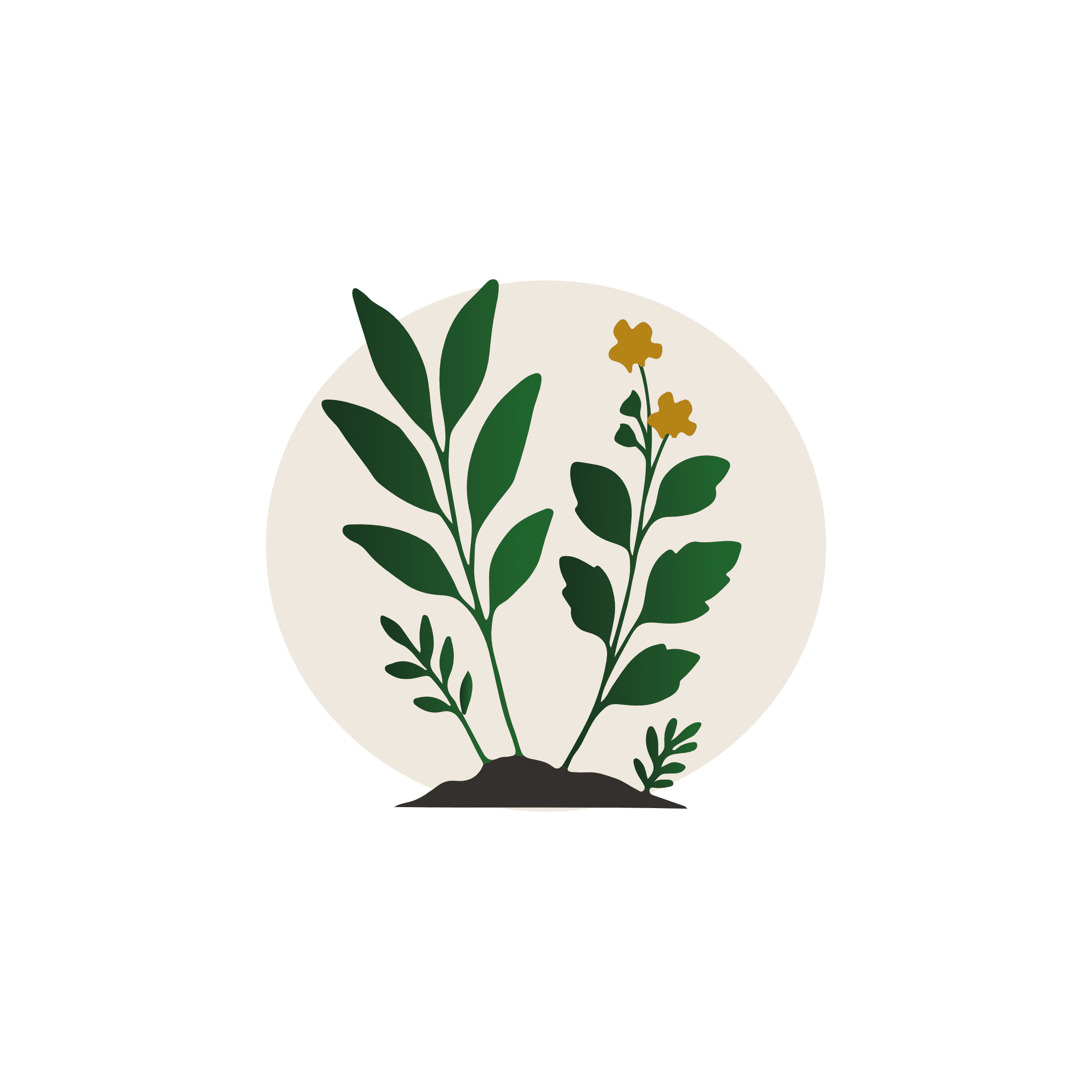 Pictogramme des herbes médicinales au Domaine de Hurlevent à Aywaille, Wallonie