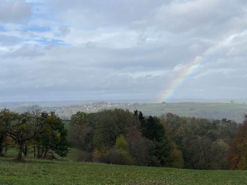 Vivre des expériences authentiques en pleine nature au Domaine de Hurlevent
