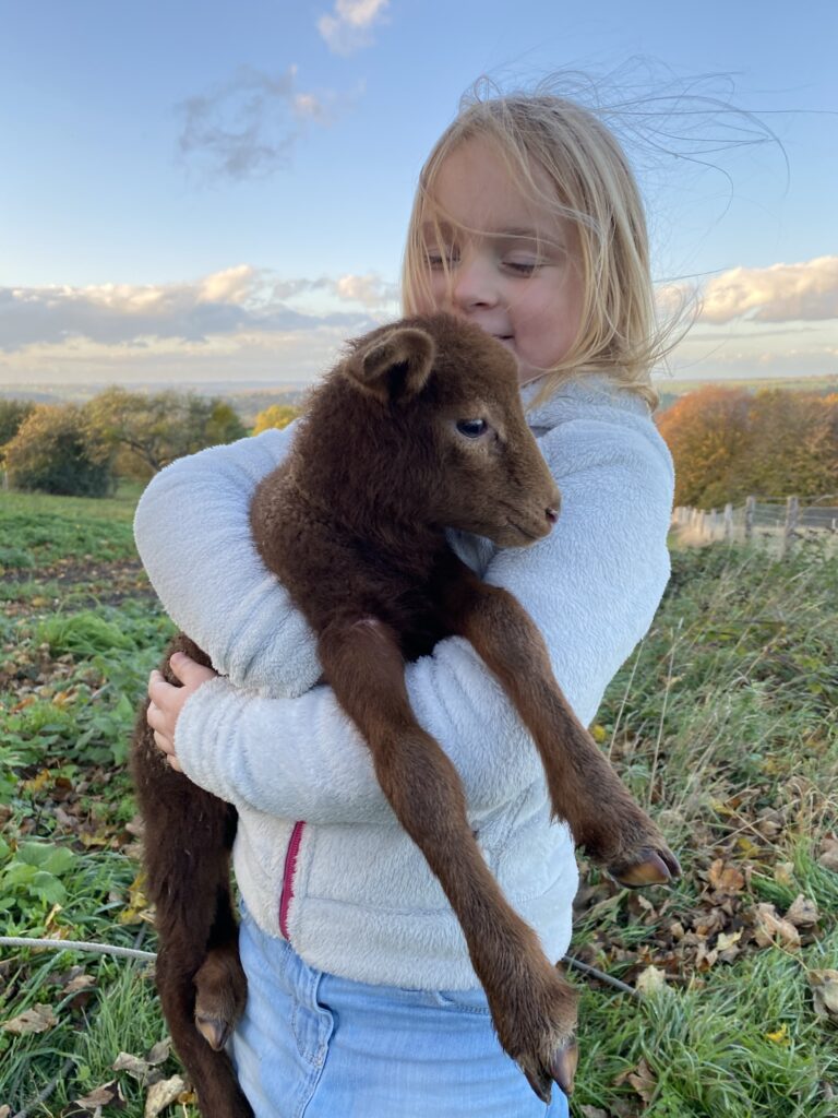 Anniversaire à la ferme pour enfants au Domaine de Hurlevent à Aywaille, Wallonie