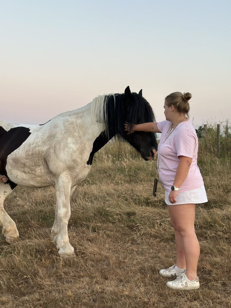Activité avec les chevaux à la ferme du Domaine de Hurlevent, moment de contact et de douceur