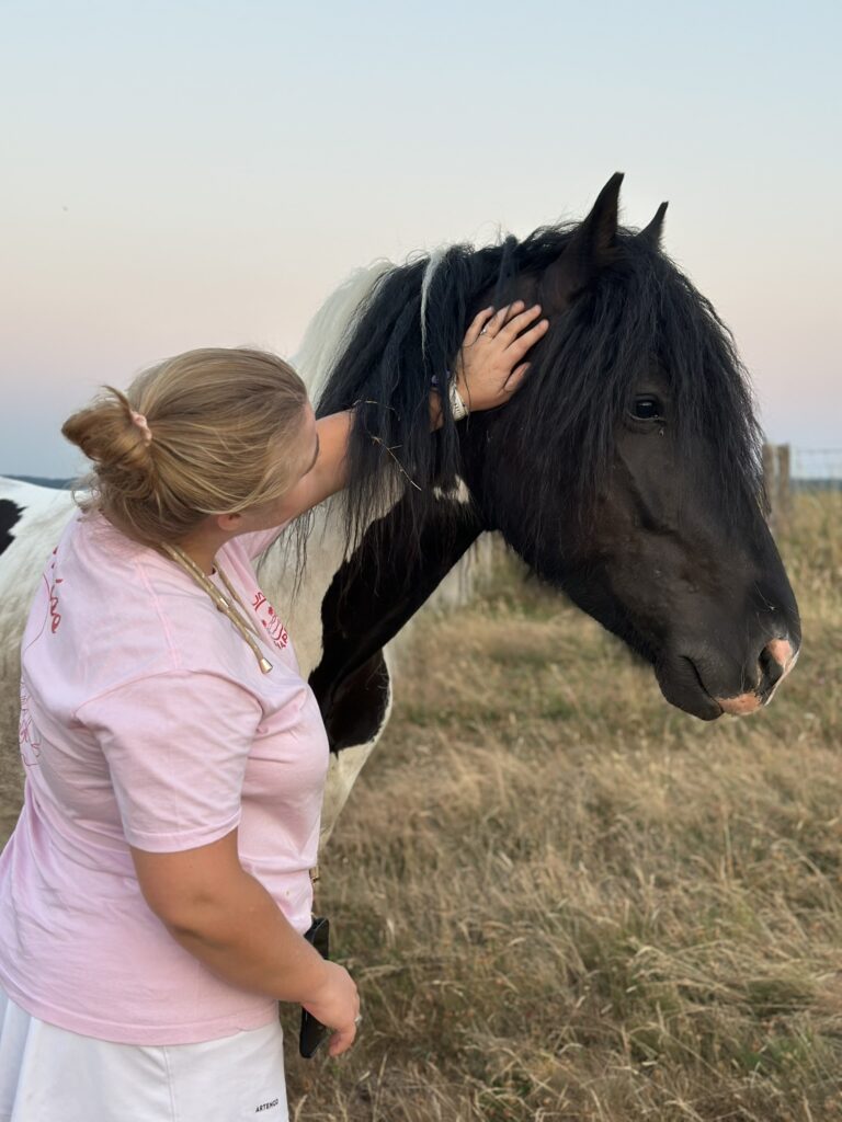 Connexion avec un cheval en pleine nature au Domaine de Hurlevent