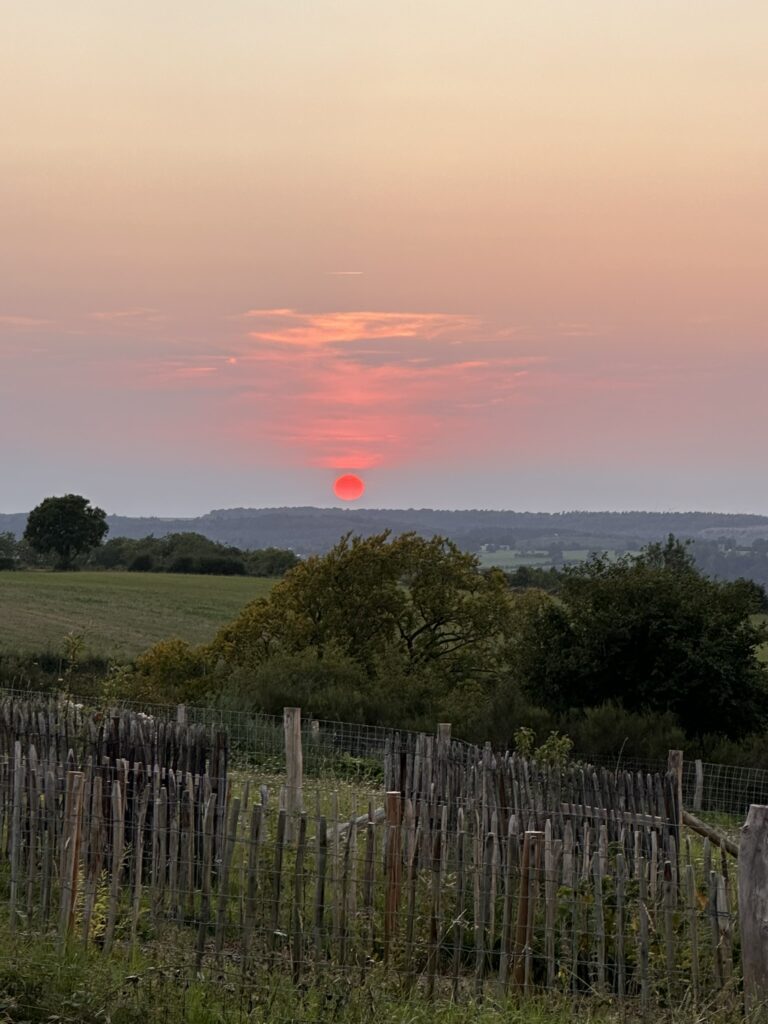Coucher de soleil sur les paysages du Domaine de Hurlevent, nature et calme en Wallonie
