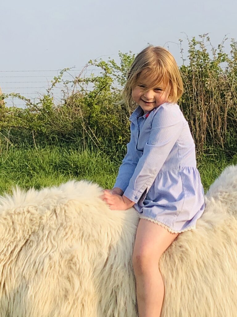 Découvrir les animaux de la ferme au Domaine de Hurlevent à Aywaille, Wallonie