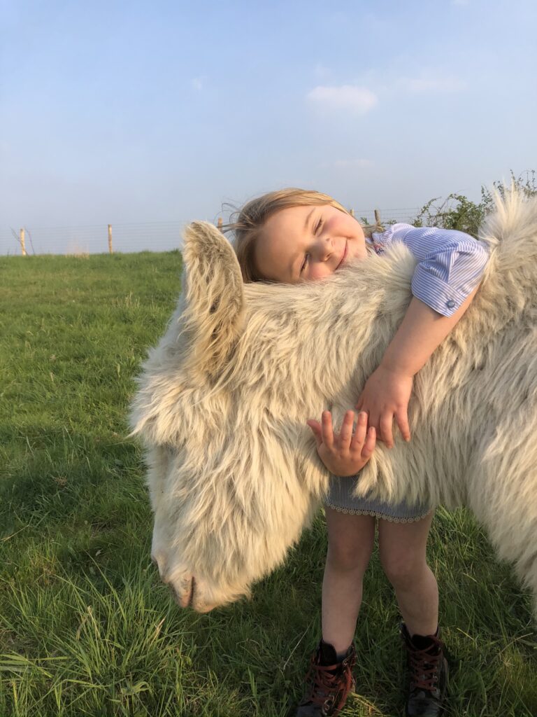 Moment tendre entre un enfant et un animal à la ferme du Domaine de Hurlevent à Aywaille, Wallonie