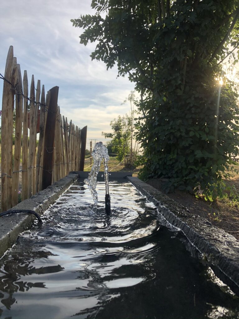 Abreuvoir en pierre alimenté par une source naturelle au Domaine de Hurlevent