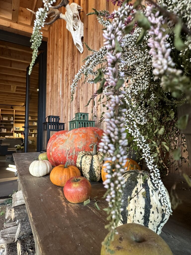 Légumes de saison et fruits locaux présentés au Domaine de Hurlevent